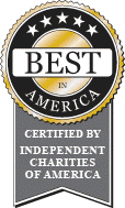 ica-best-in-america texas farm bureau ins logo
