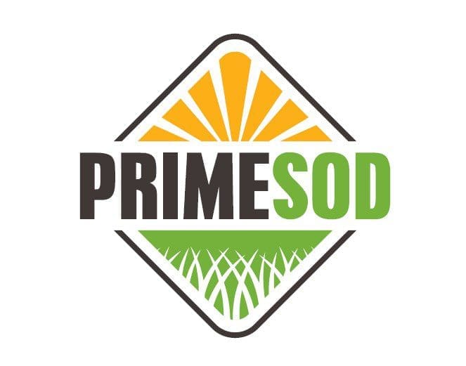 prime sod