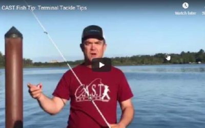C.A.S.T. Fish Tip #4: Terminal Tackle Tips