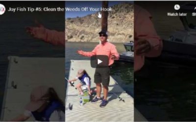 C.A.S.T. Fish Tip #5: Clean the Weeds off Your Hook